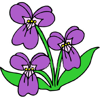 flowering_purple_plant_lg