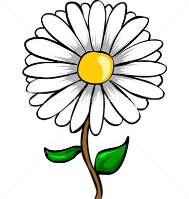 vectorstock-3022-daisy-flower-vector