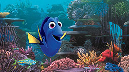 FindingDory SB1